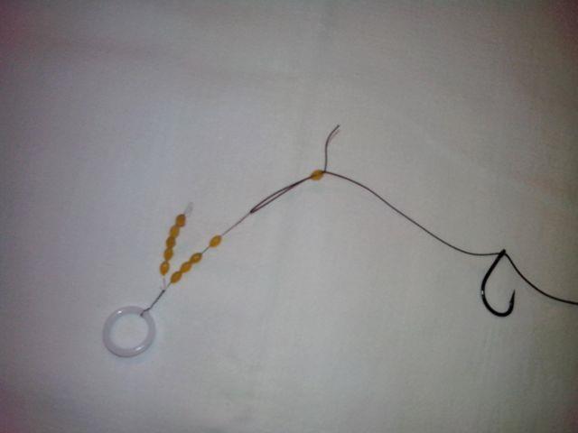 montura line aligner - 11.jpg